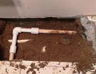 娄底测漏水哪家好