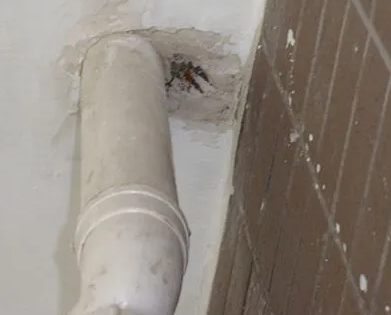 娄底漏水检测哪家好